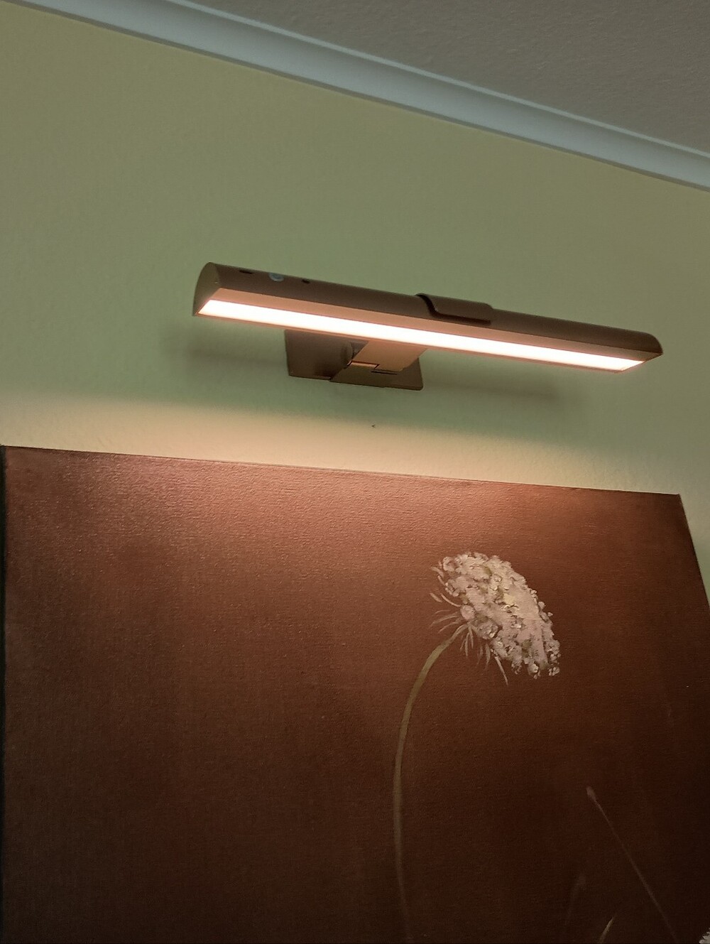 Pooky Cordless Picture Light Antique Brass Like New